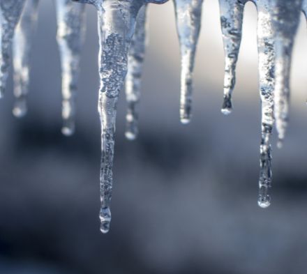 Best Resin for Cold Weather Windshield Repairs