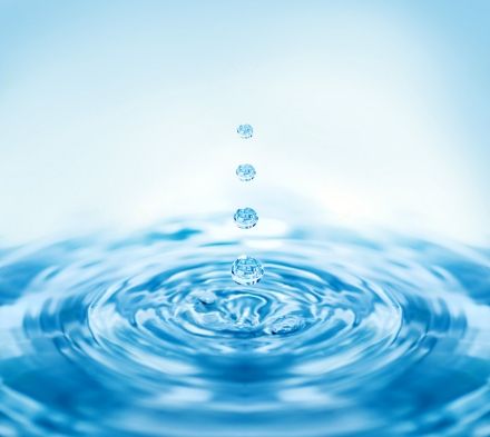 Can the Sanding Discs be Used with Water?