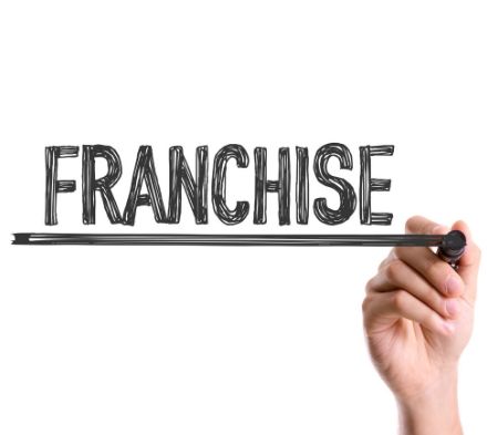 Does Delta Kits Offer a Franchise?