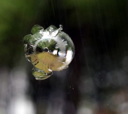 Plate Glass Repair Kit